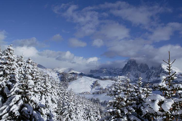 Winterwald & Langkofelgruppe